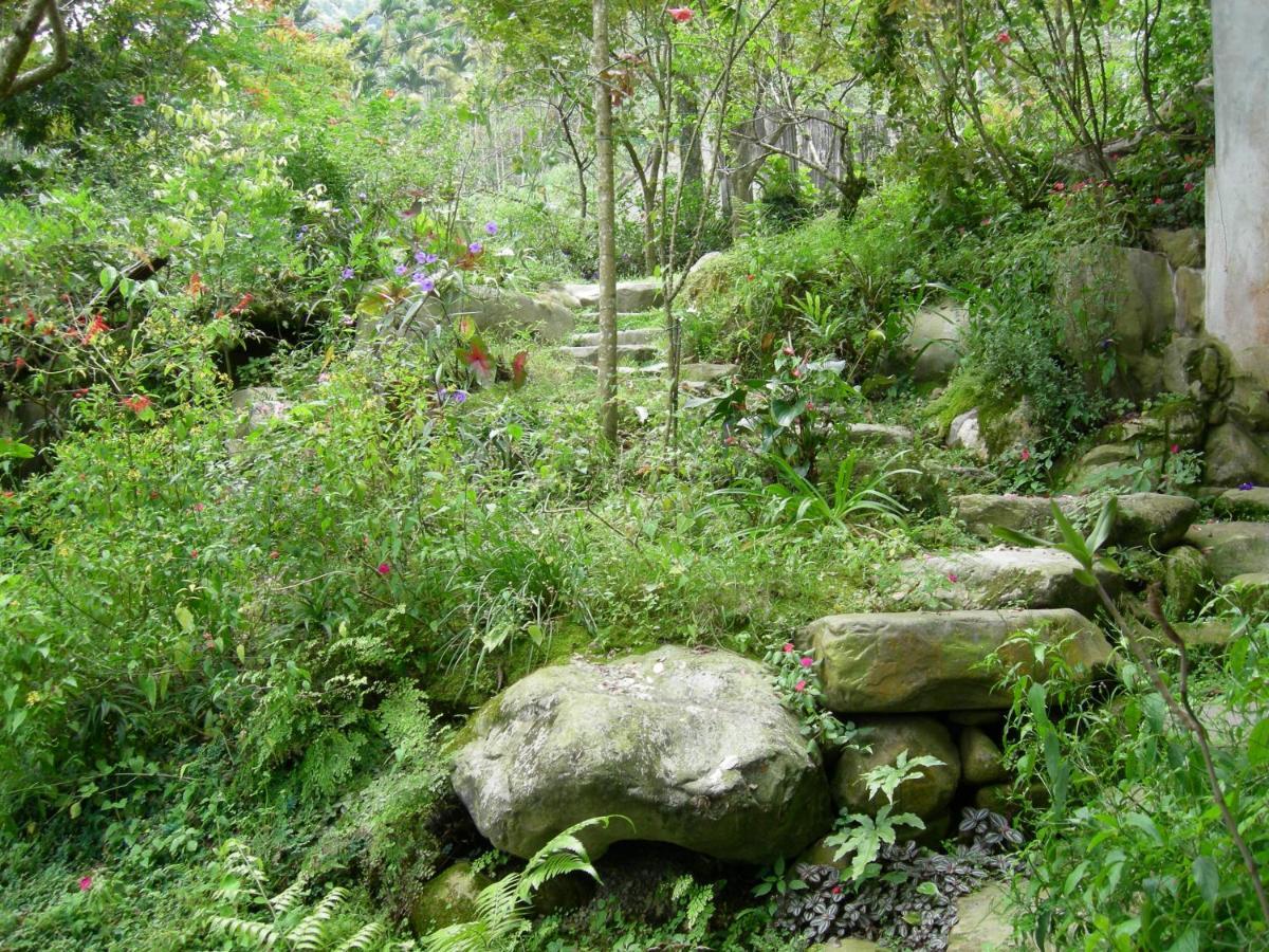 Siyuan Ju Homestay Puli Exterior photo